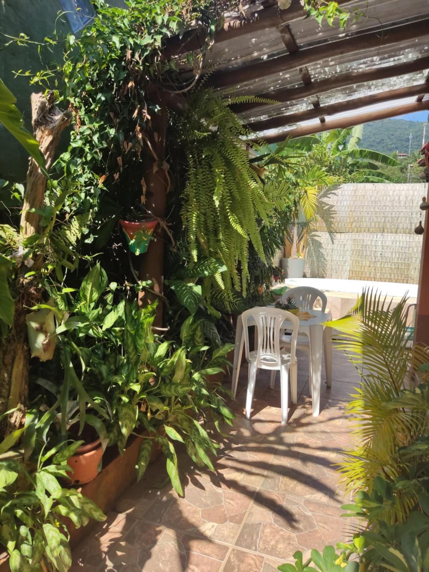Recanto Toca Das Plantas De Ilhabela I Стая снимка